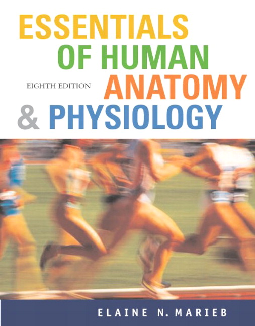 Essentials Of Human Anatomy And Physiology 9th Edition Pdf Download